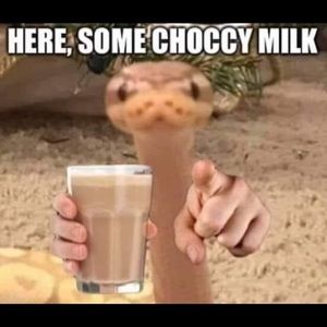 Meet your Posher, Ethan